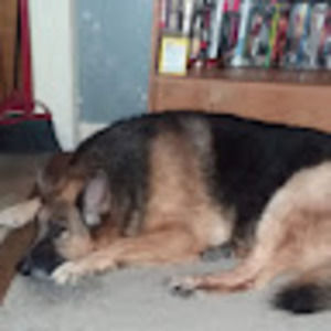 Meet your Posher, Charles